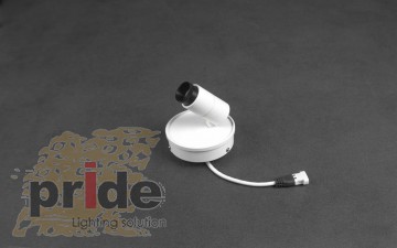 Pride Pride c�������� MD76706-D